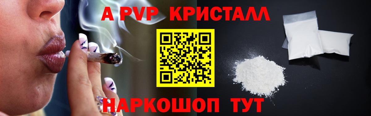 APVP СК Шадринск