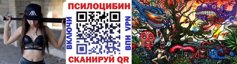 Галлюциногенные грибы MAGIC MUSHROOMS Шадринск