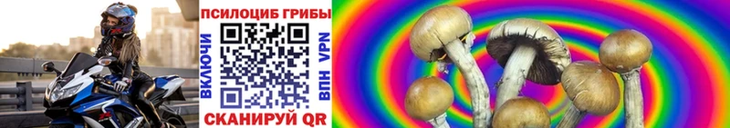 Псилоцибиновые грибы Cubensis  наркошоп  Шадринск 